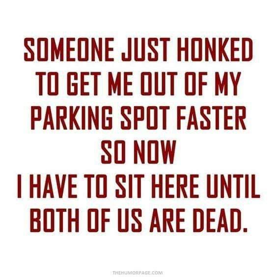 honked.jpg