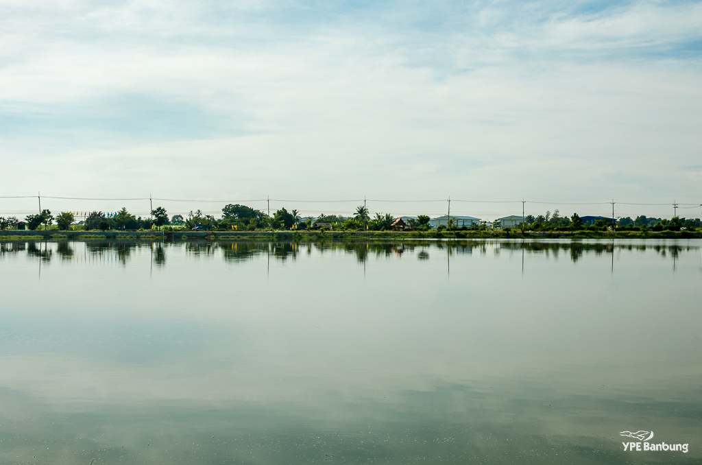 horizon-1.jpg