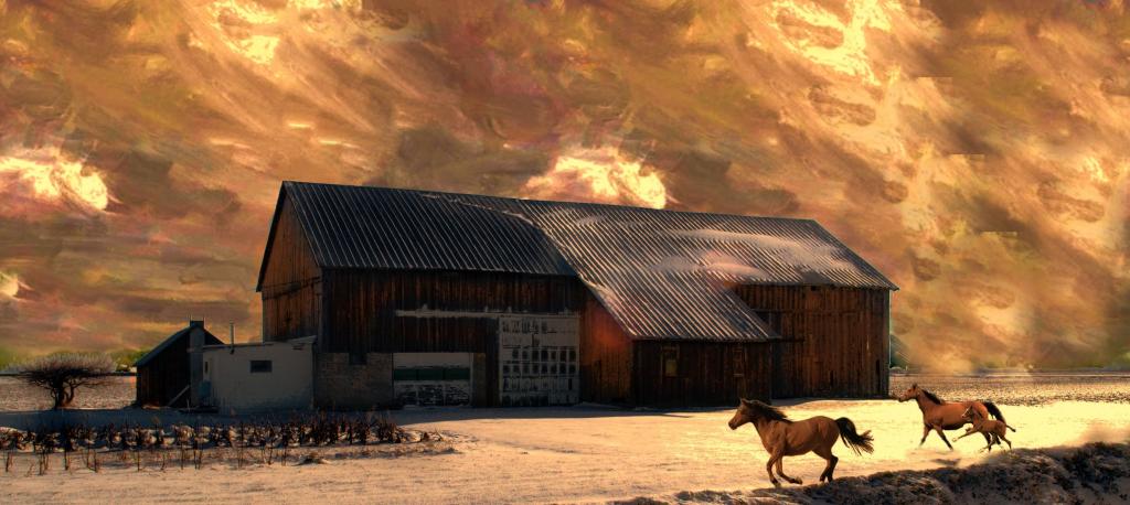 Horse barn.jpg