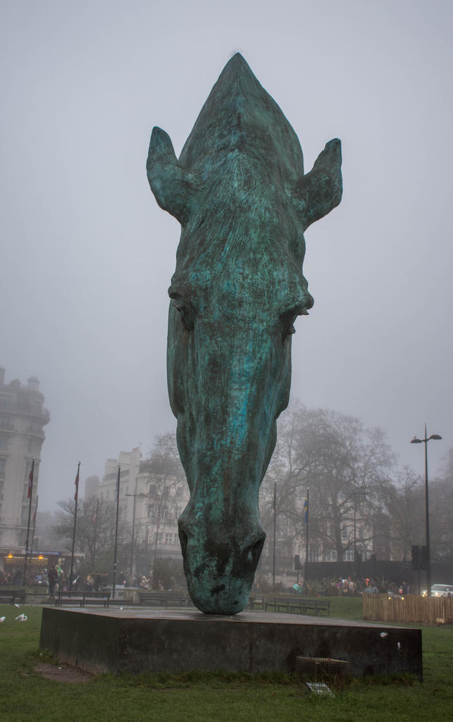 Horses Head-2.jpg