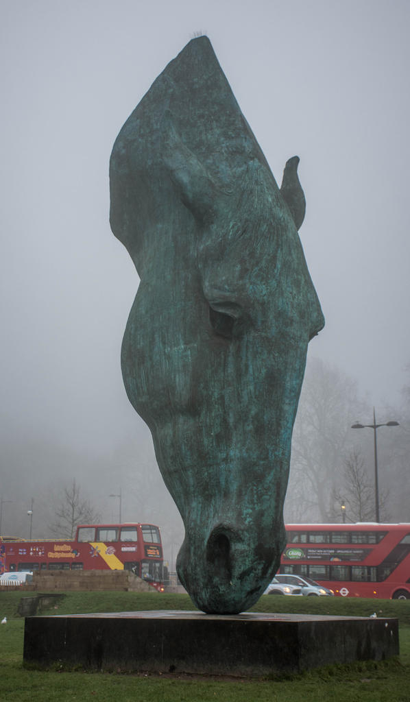 Horses Head.jpg
