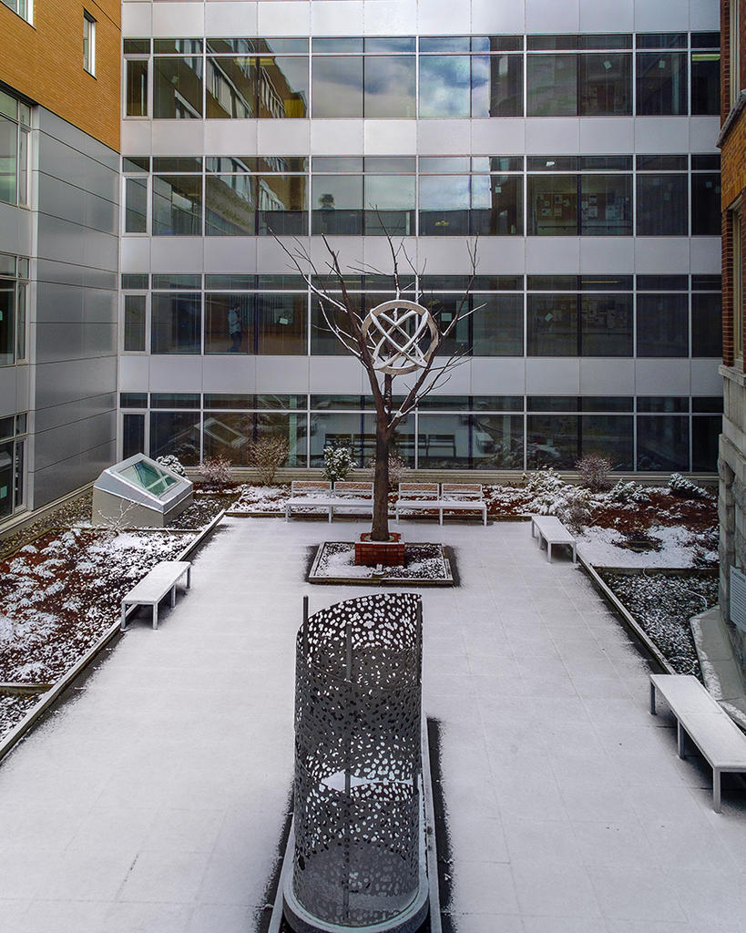 hospital inner yard.jpg