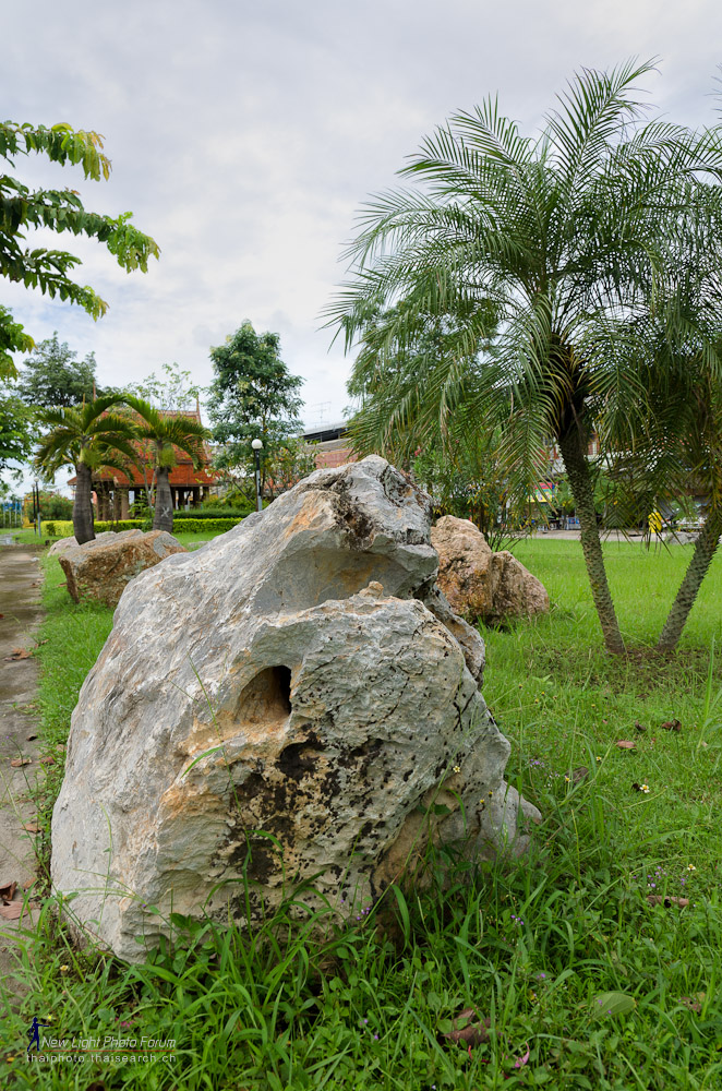 housepark-2.jpg