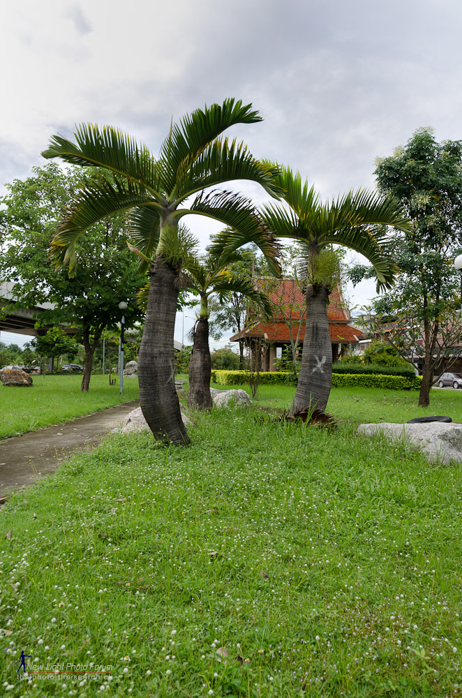housepark-3.jpg