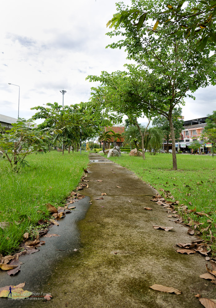 housepark.jpg