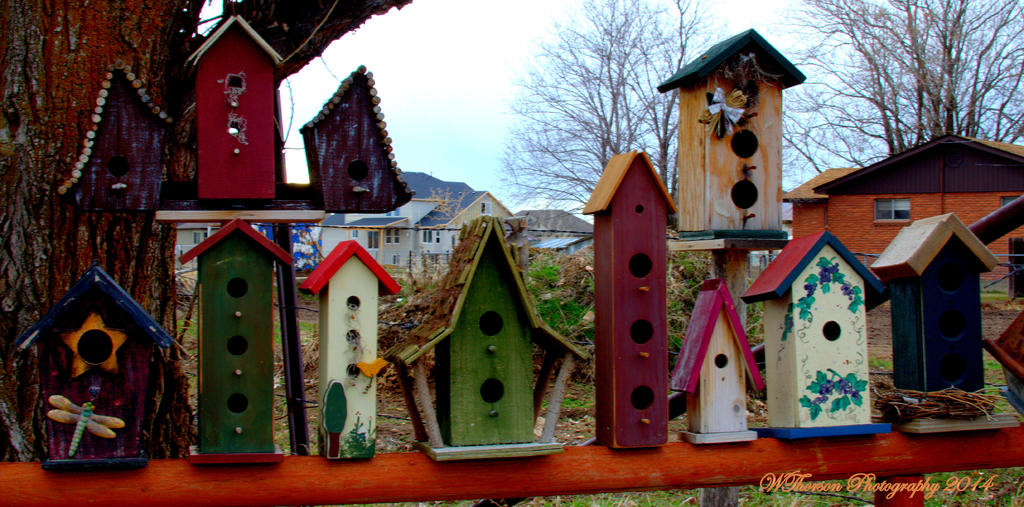 Houses.jpg