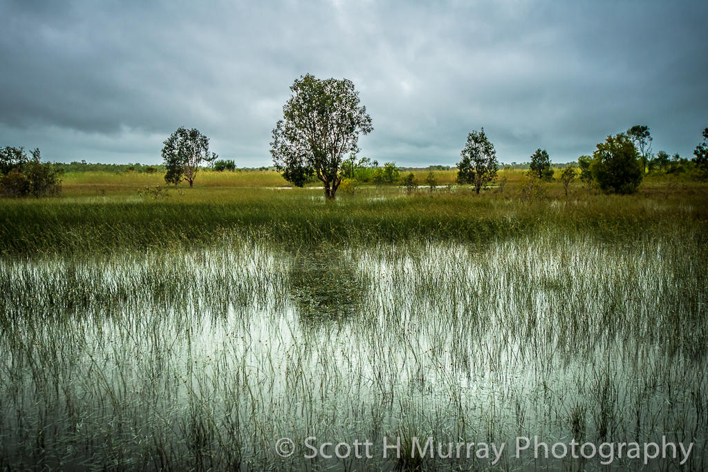 Howard Springs-1-5.jpg