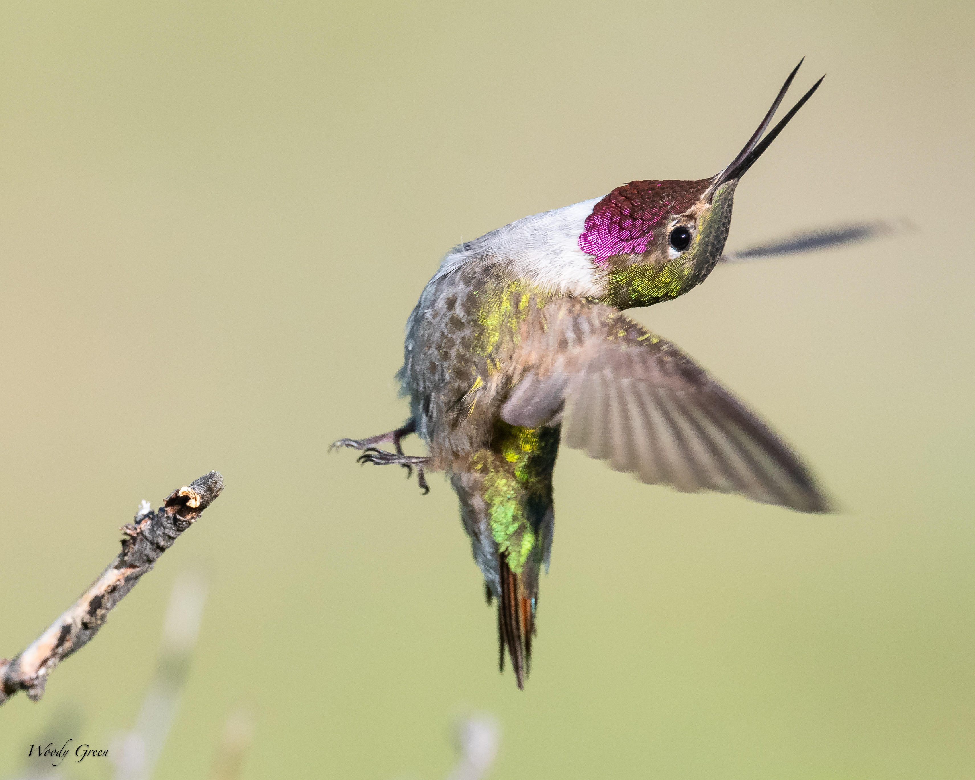 HummerBackFlip-55.jpg