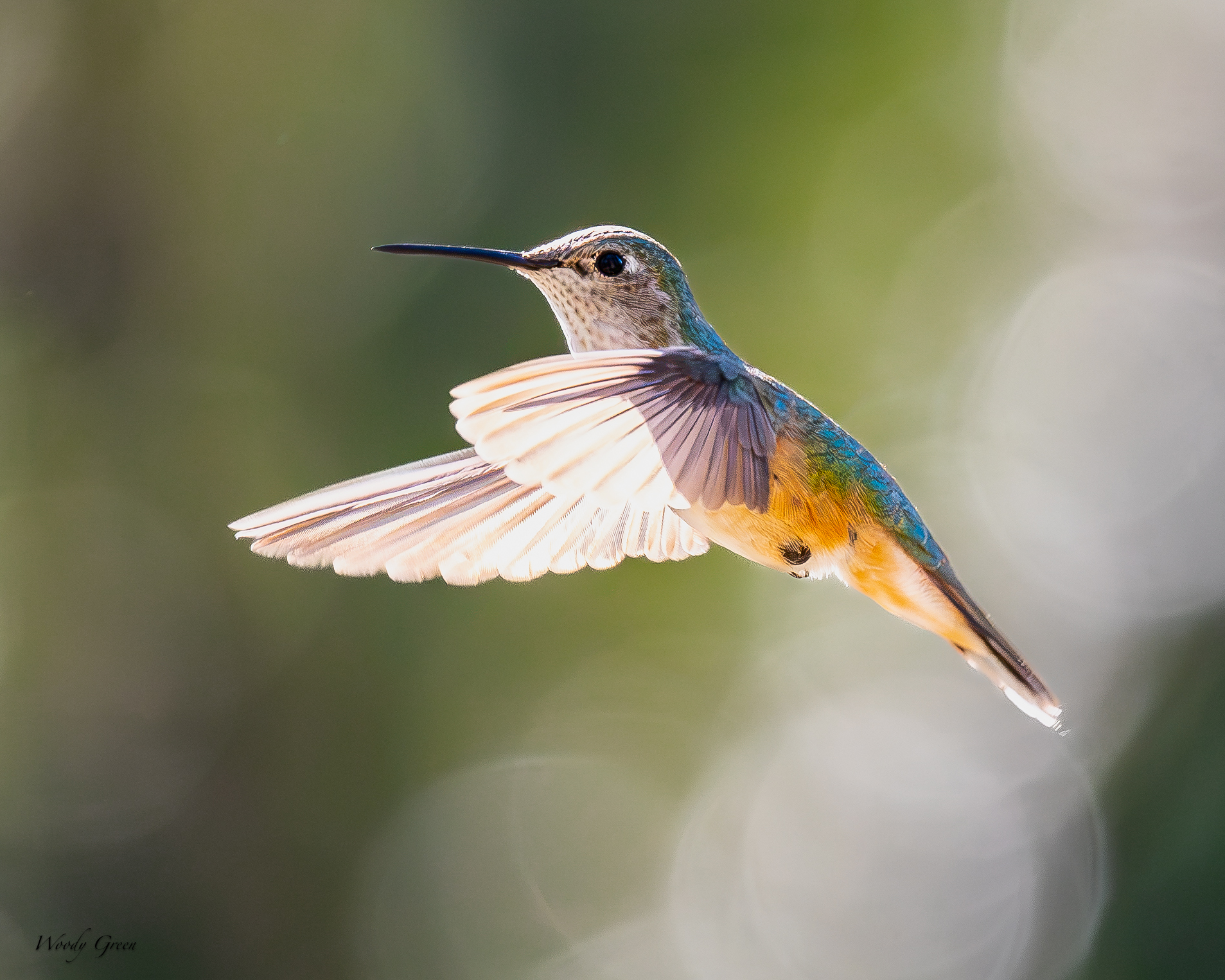 HummerBacklight-687.jpg