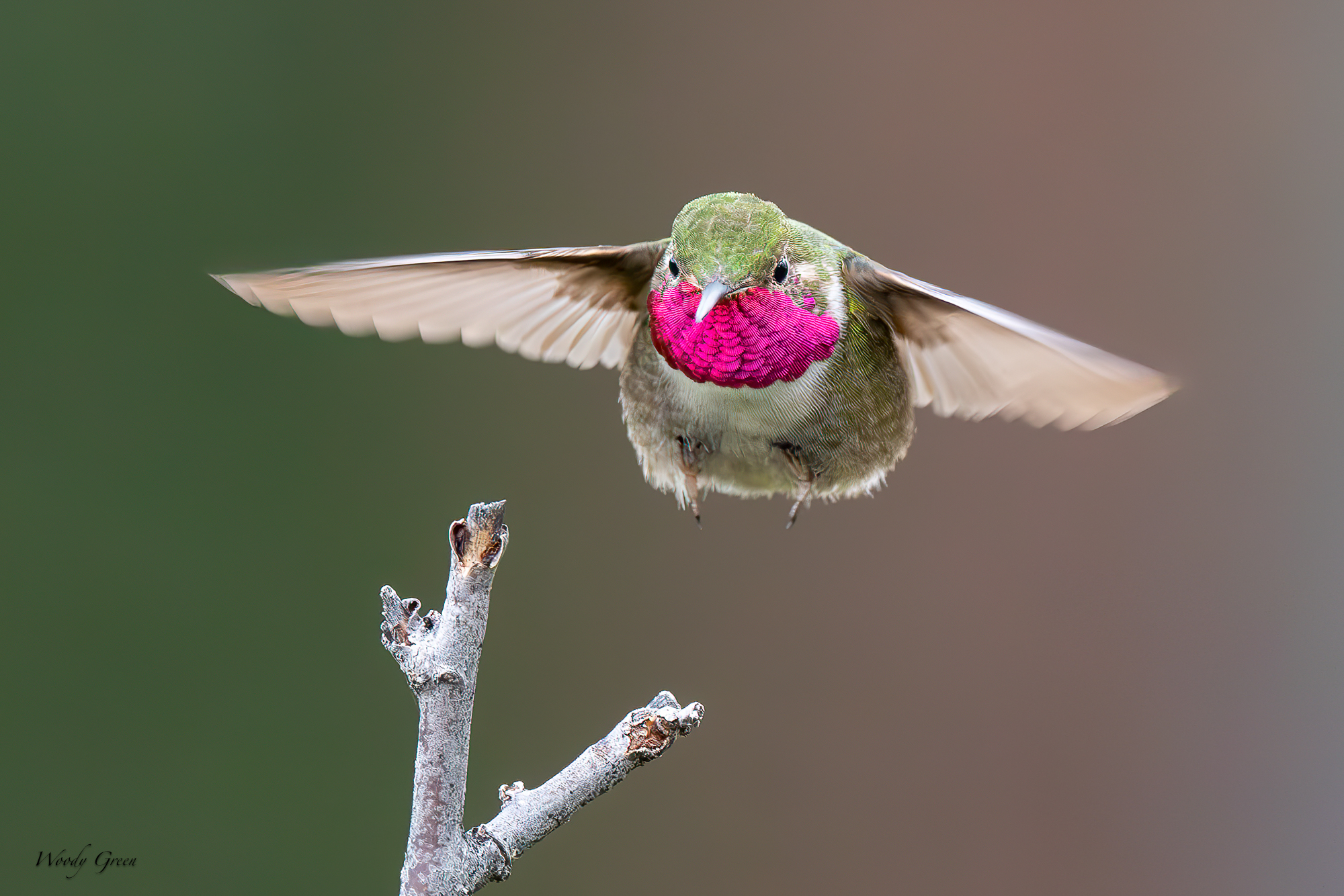 HummerLanding-687.jpg