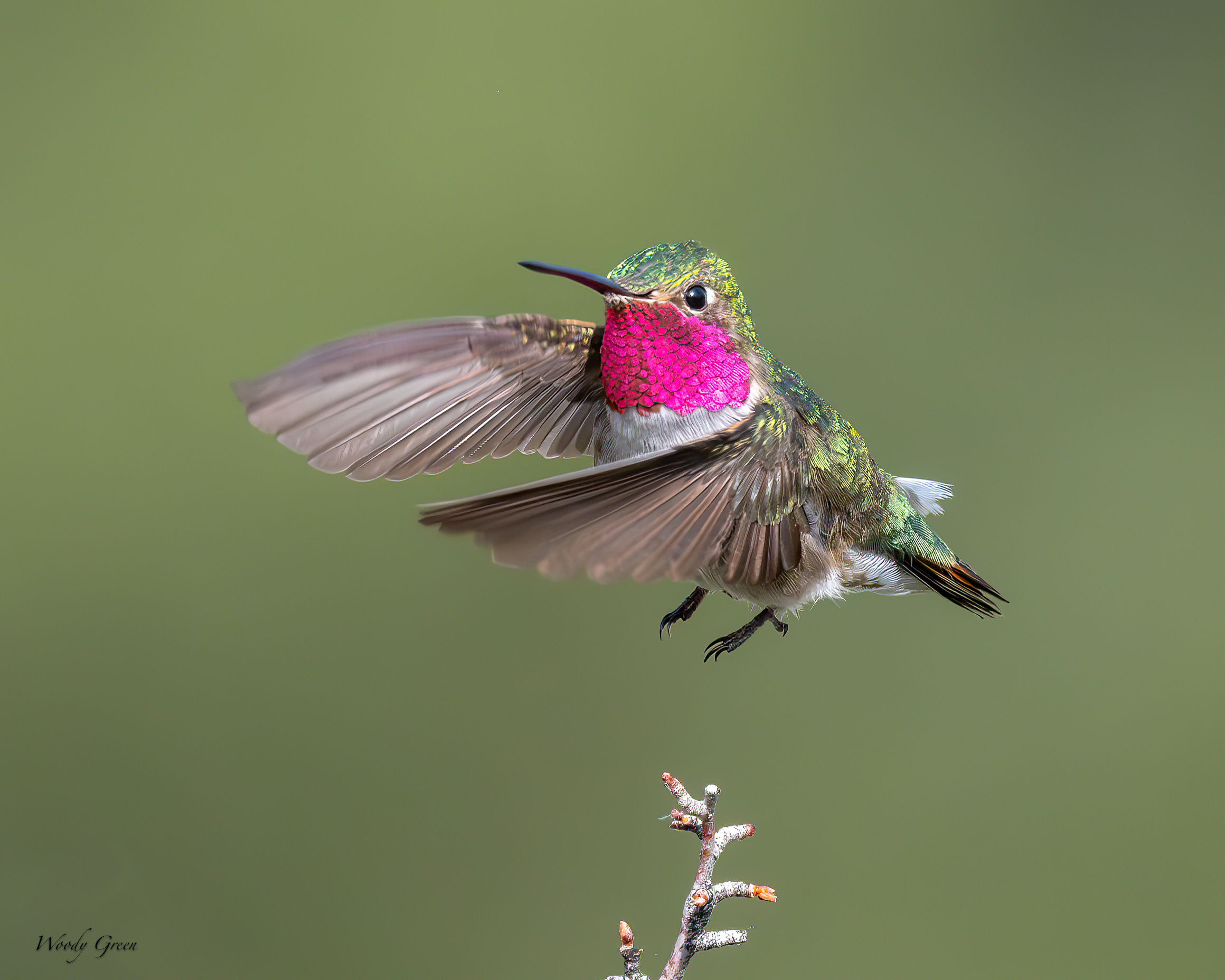 HummerTakeoff-47.jpg