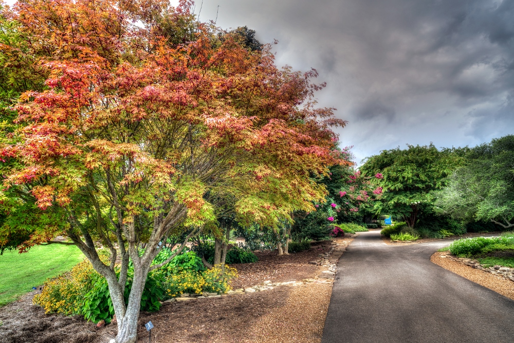 Huntsville,Alabama. Gardens.--30 (1000x667).jpg