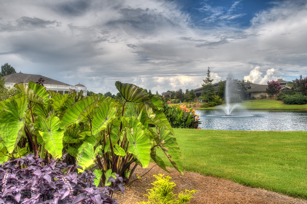 Huntsville Gardens-July--14.jpg