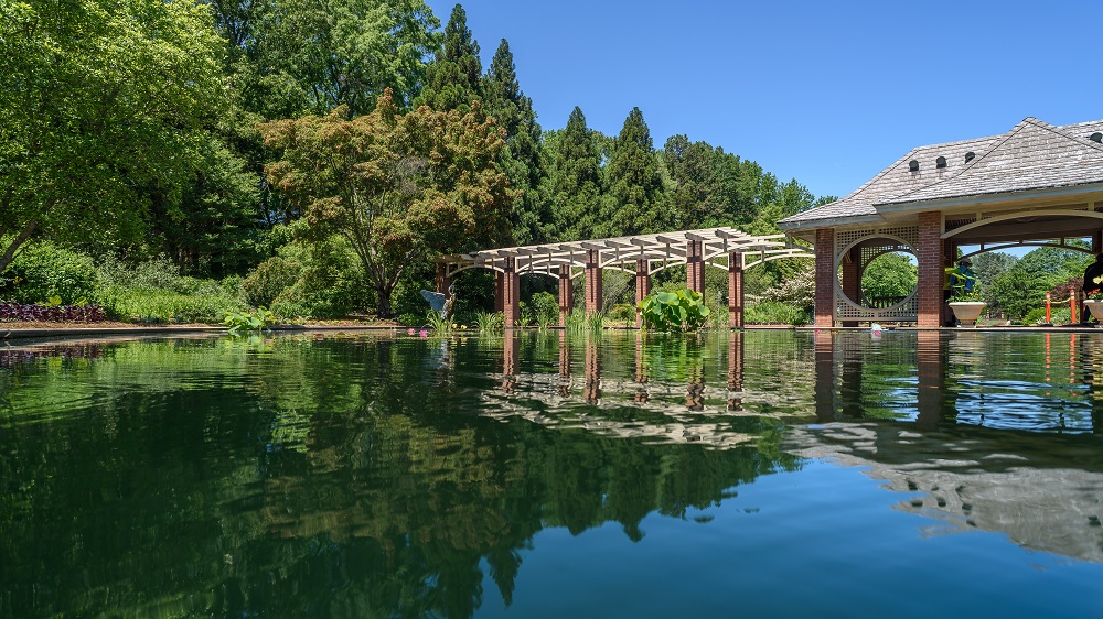 Huntsville gardens-May-2017-0149.jpg