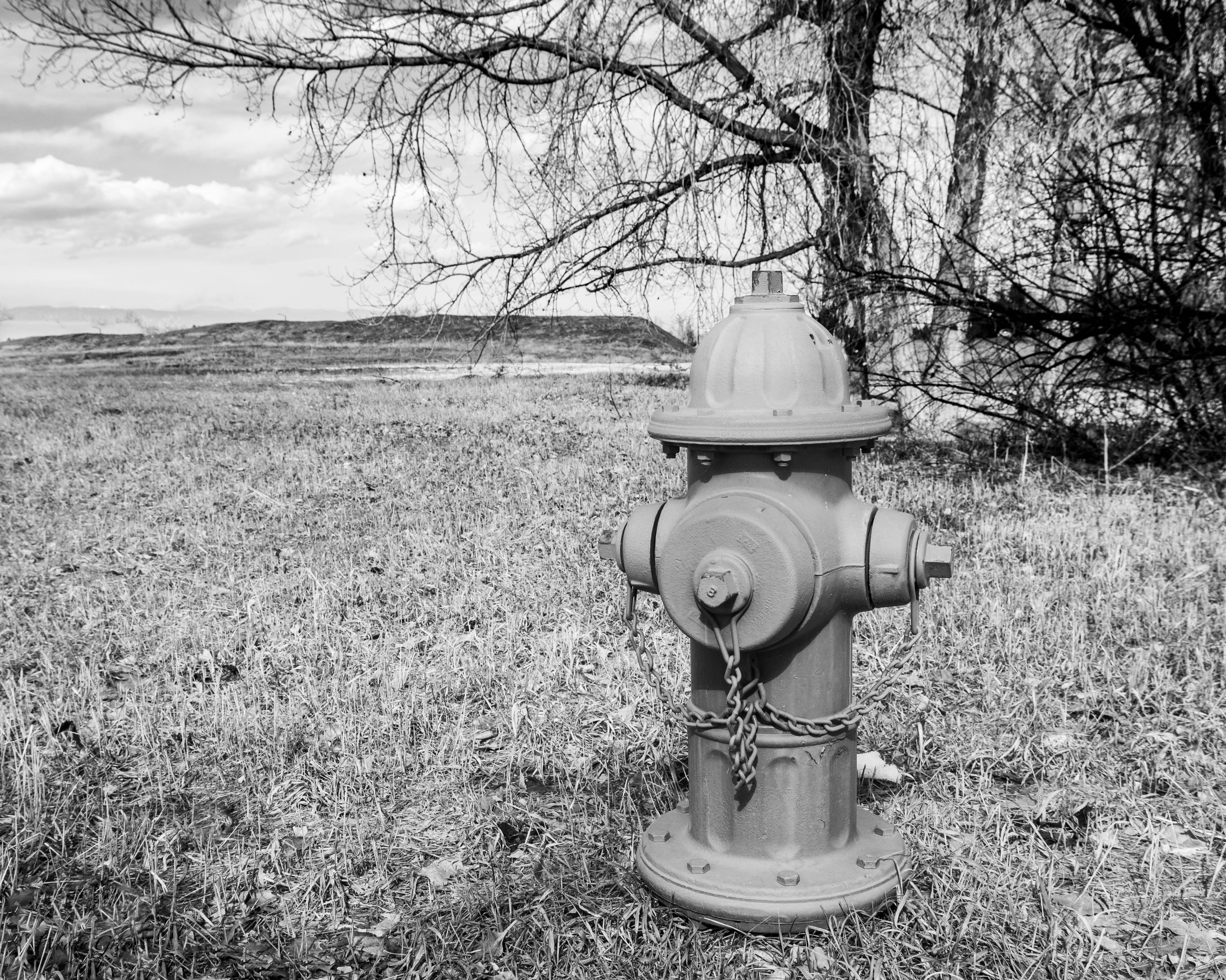Hydrant-271.jpg