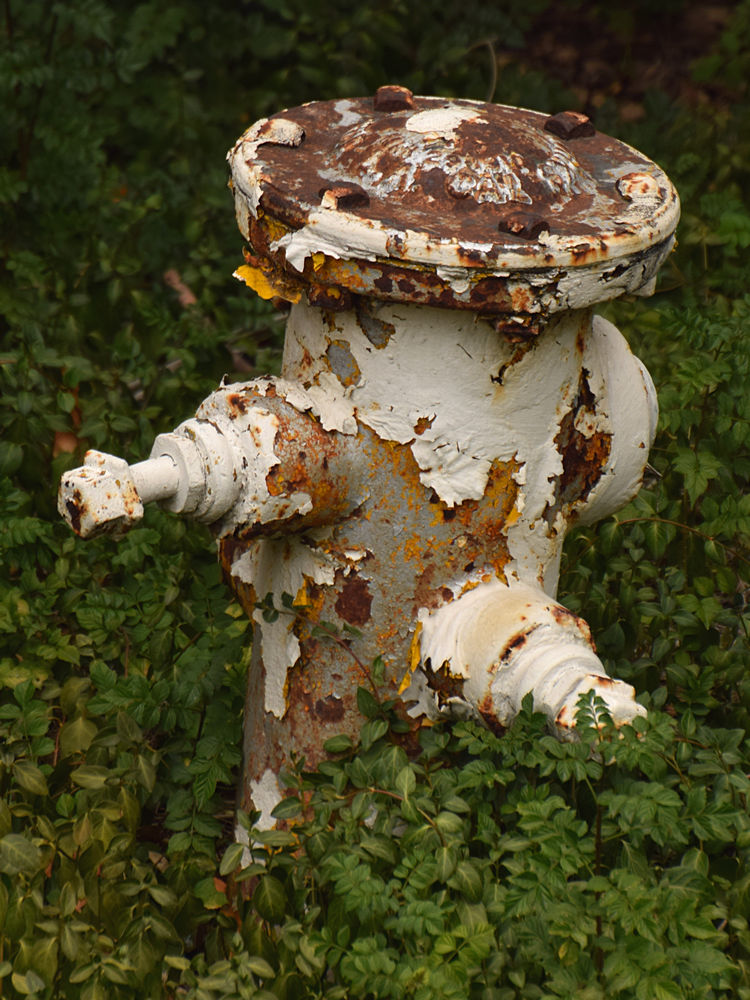 Hydrant.jpg