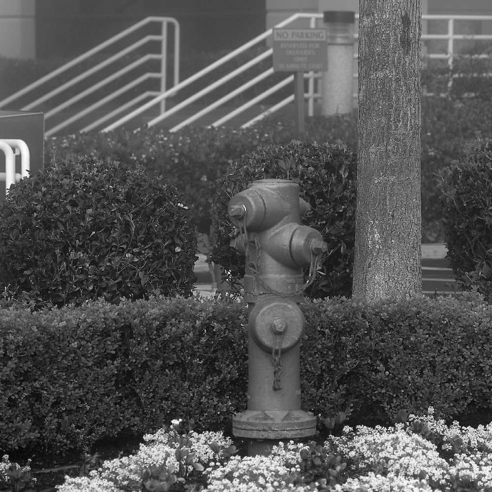 HydrantBW.jpg