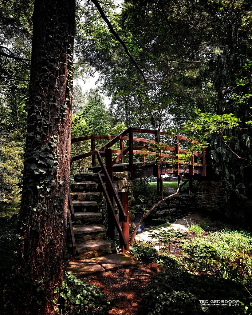 Hywett Foot Bridge.jpg