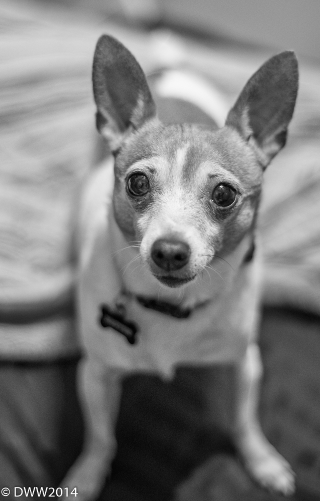 I am a cutie (1 of 1).jpg