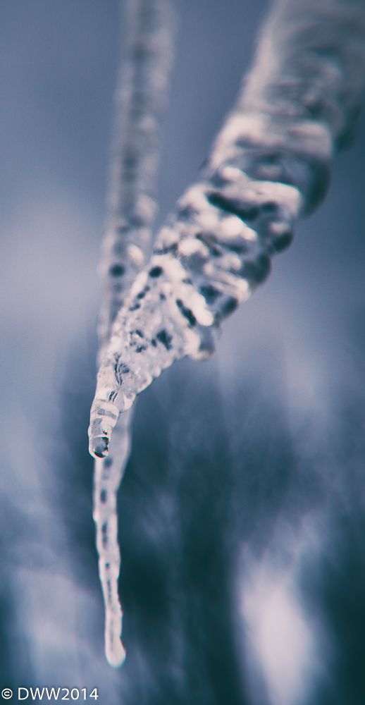 Ice (1 of 1).jpg