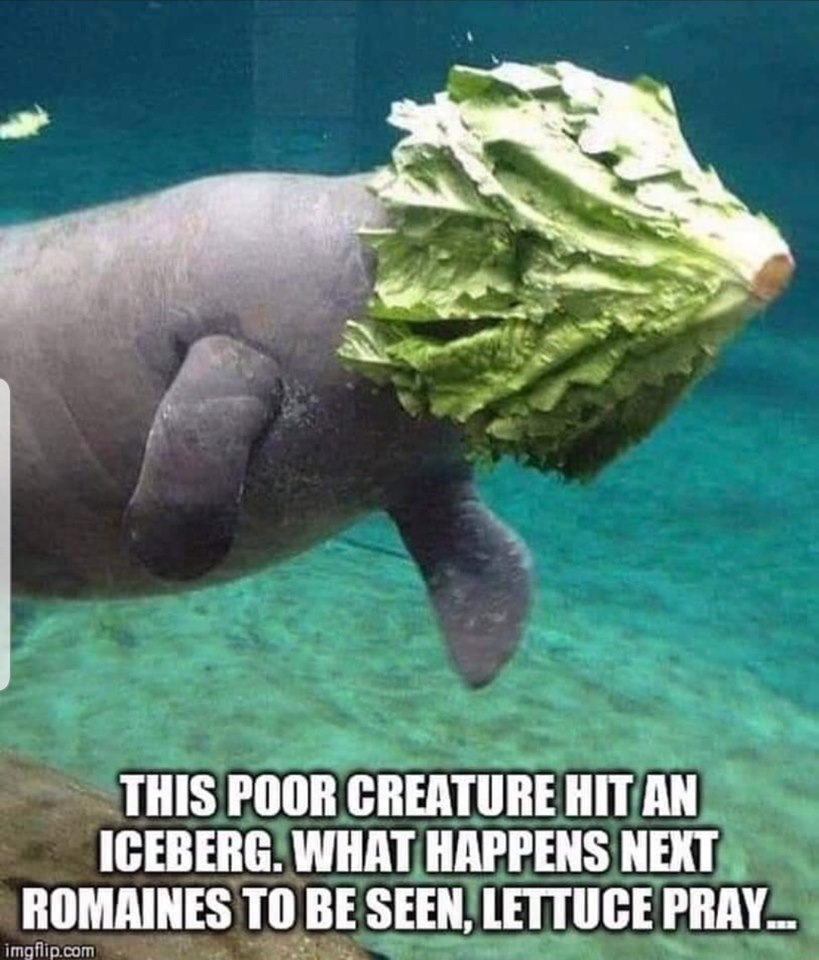 ice.jpg