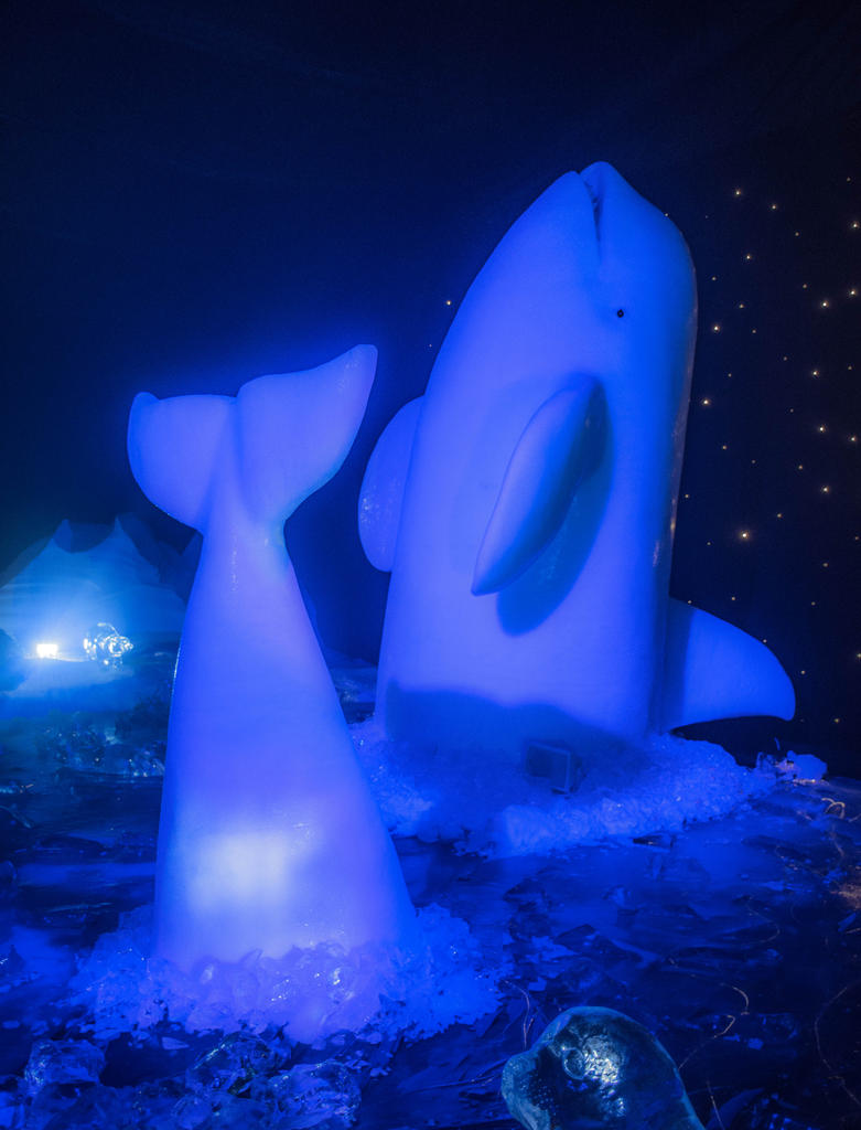 Ice Kingdom-2.jpg