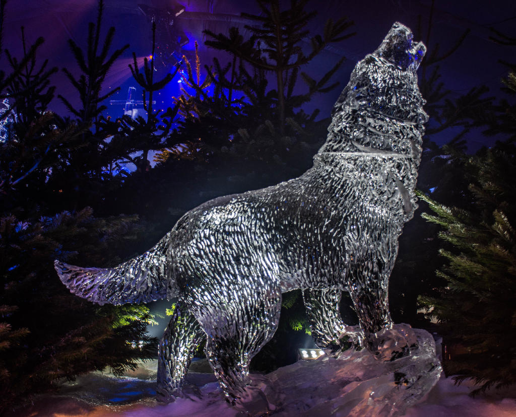 Ice Kingdom-7.jpg