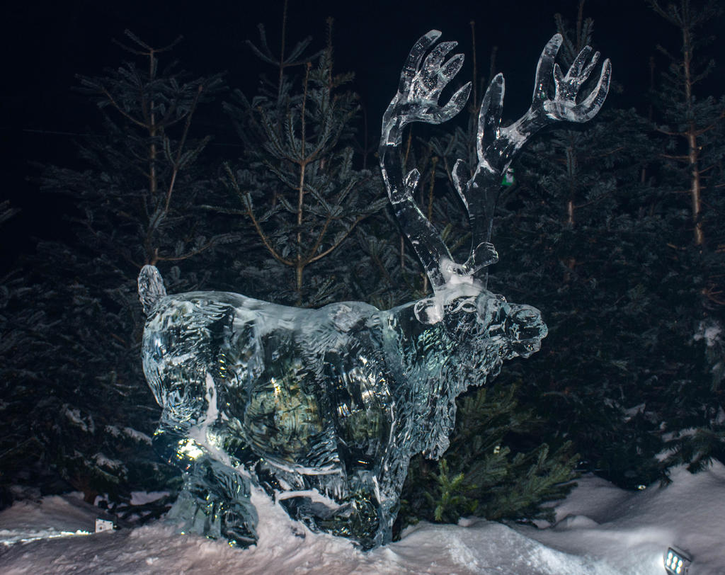 Ice Kingdom-9.jpg