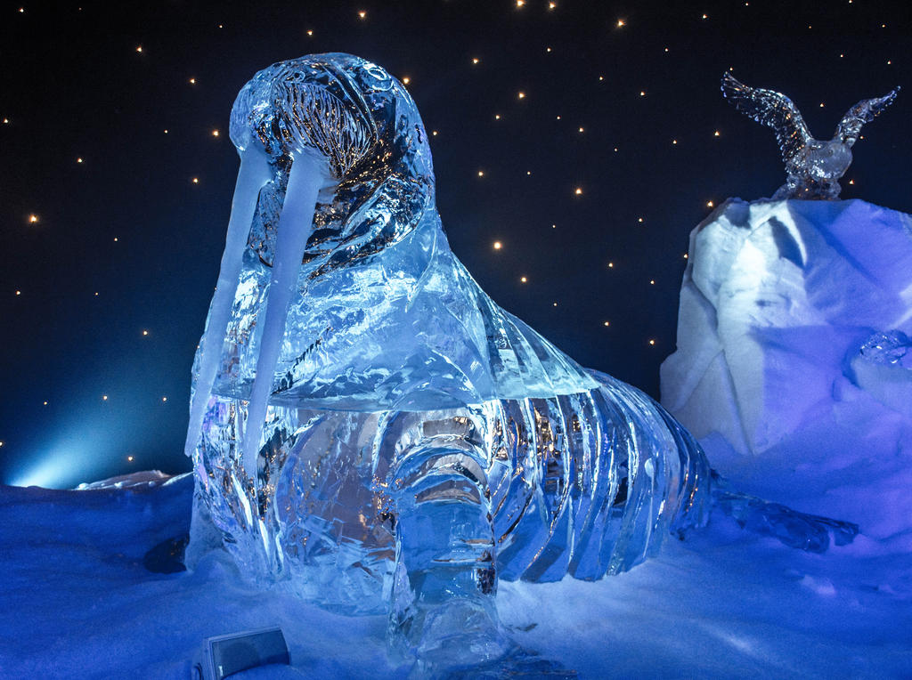 Ice Kingdom.jpg