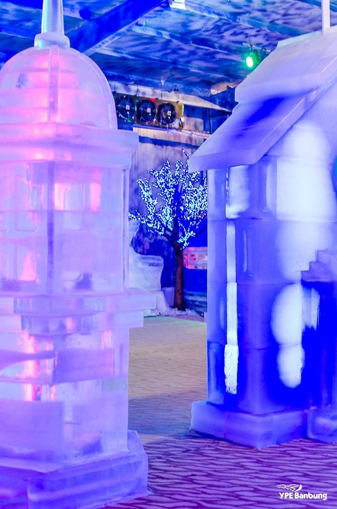 ice-tree-1.jpg