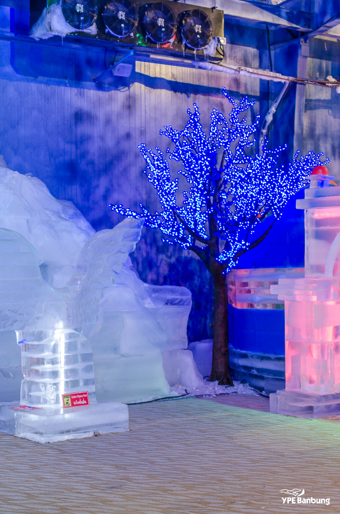 ice-tree-2.jpg