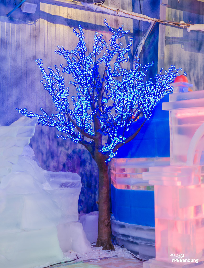ice-tree-3.jpg