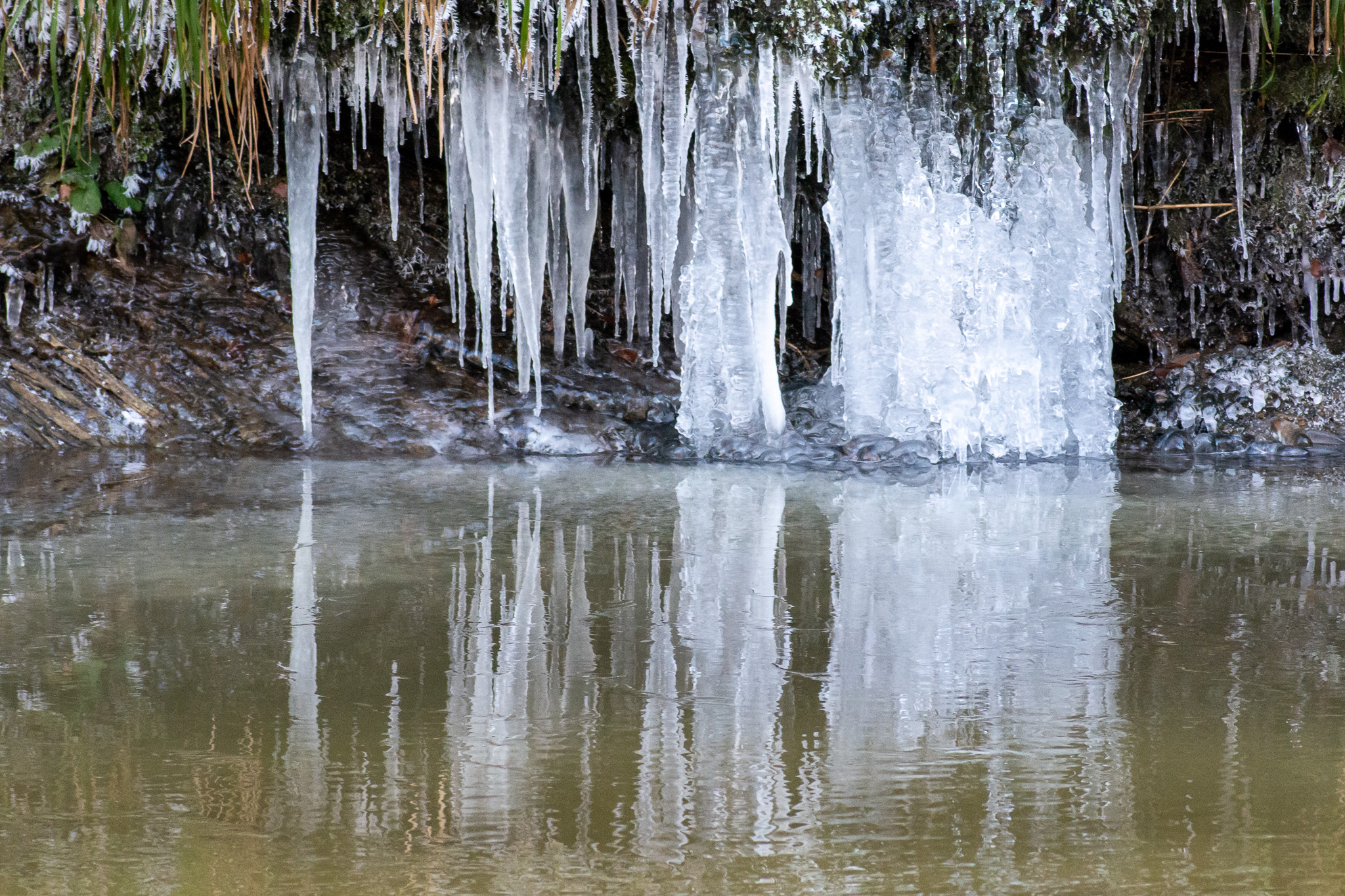 Icicles.jpg