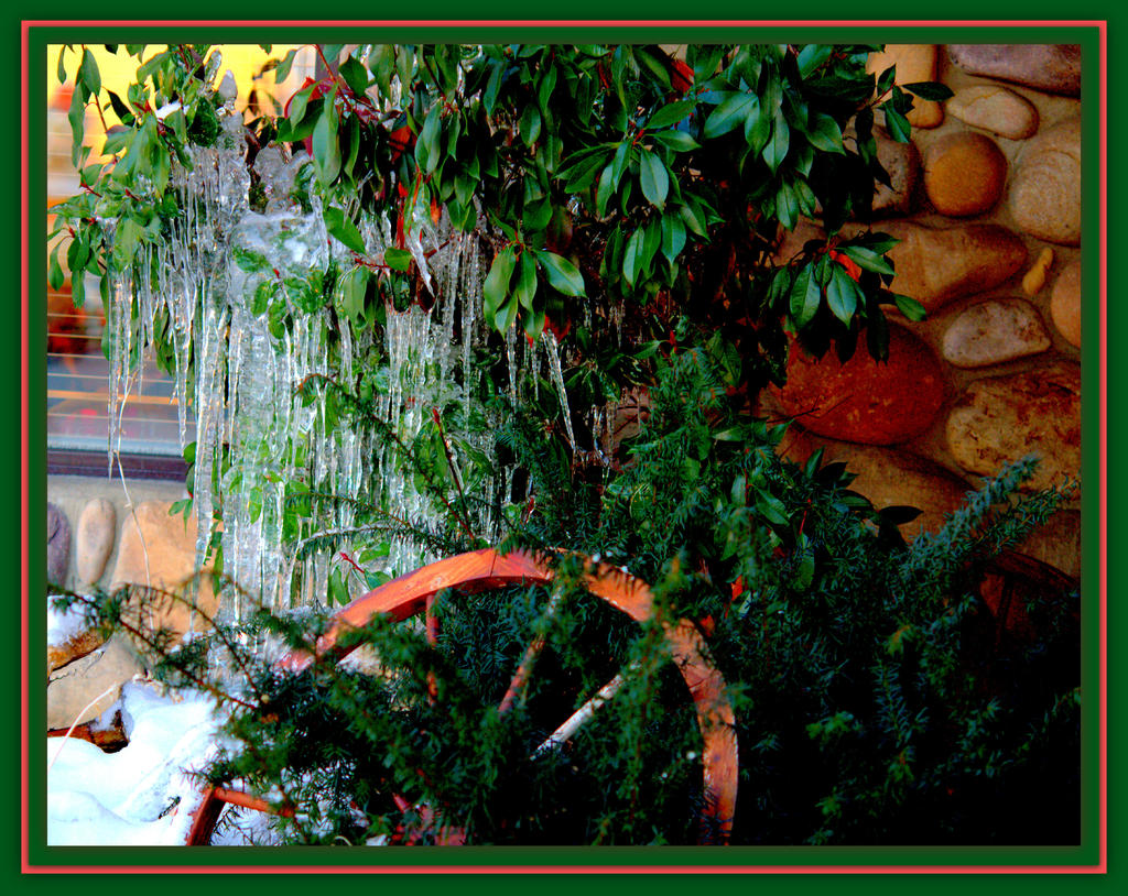 Icicles on the Greenery 12-31-2014.jpg