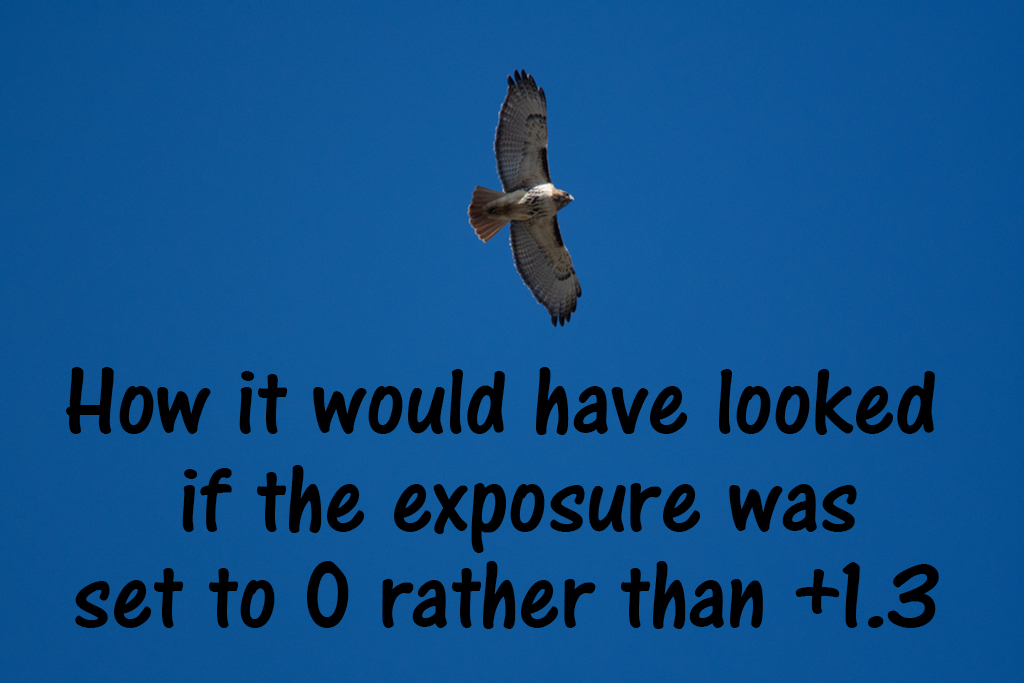If no exposure adjustment was made in camera.jpg