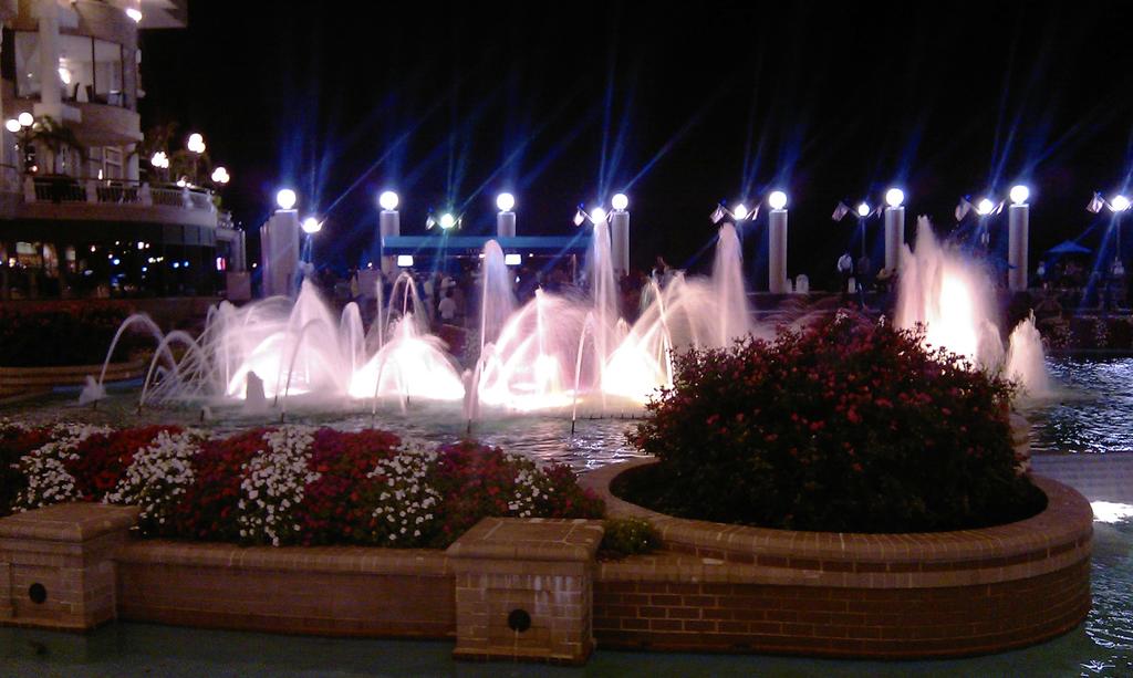 IMAG0065.jpg