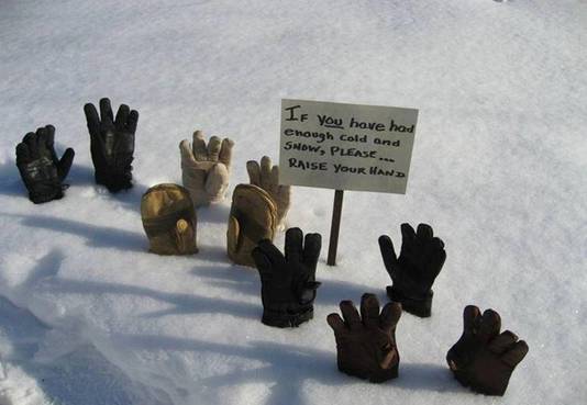image010.jpg