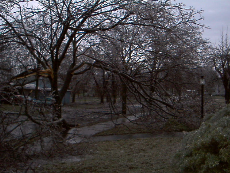 Image021.jpg