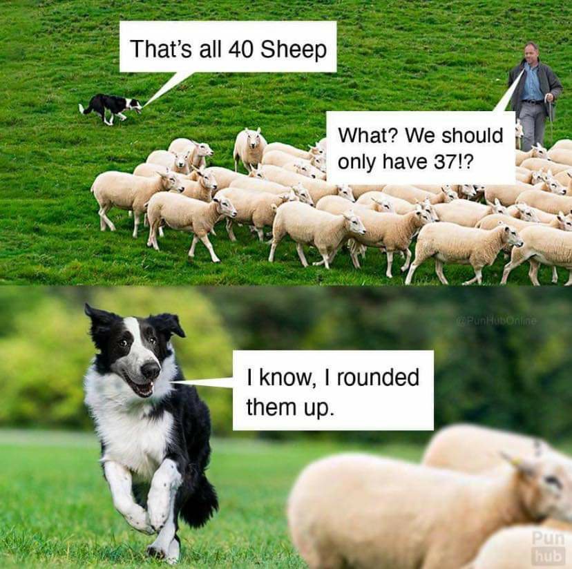 IMG-20200302-WA0000.jpeg