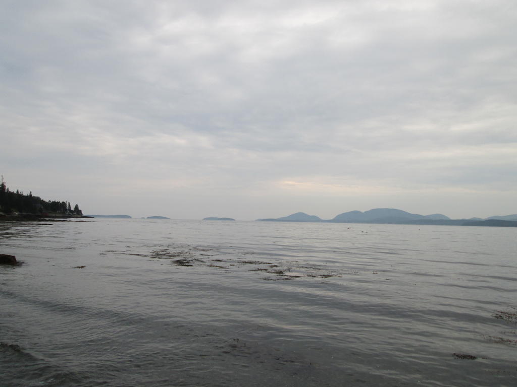 IMG_0329.jpg