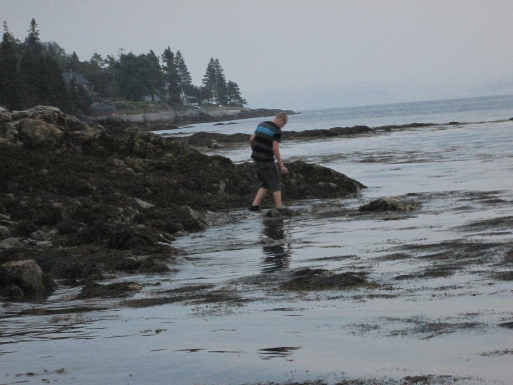 IMG_0398.jpg