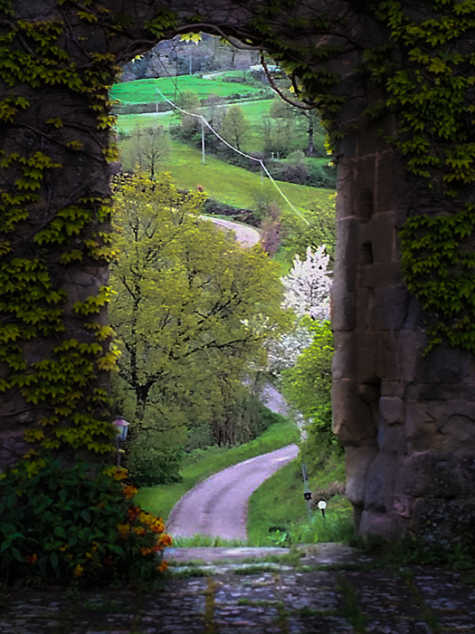 IMG_0590-Edit.jpg