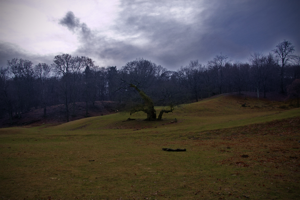 IMG_9226 copy.JPG