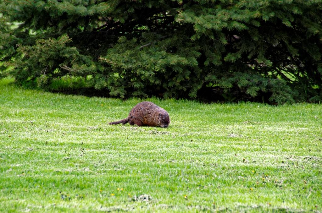 IMGP0850_DxO.jpg