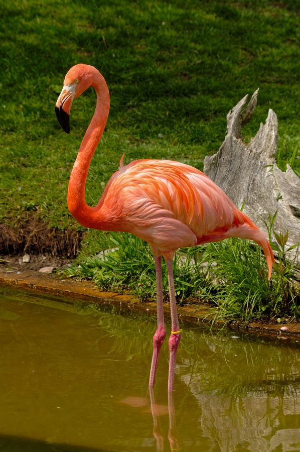 IMGP1419_DxO.jpg