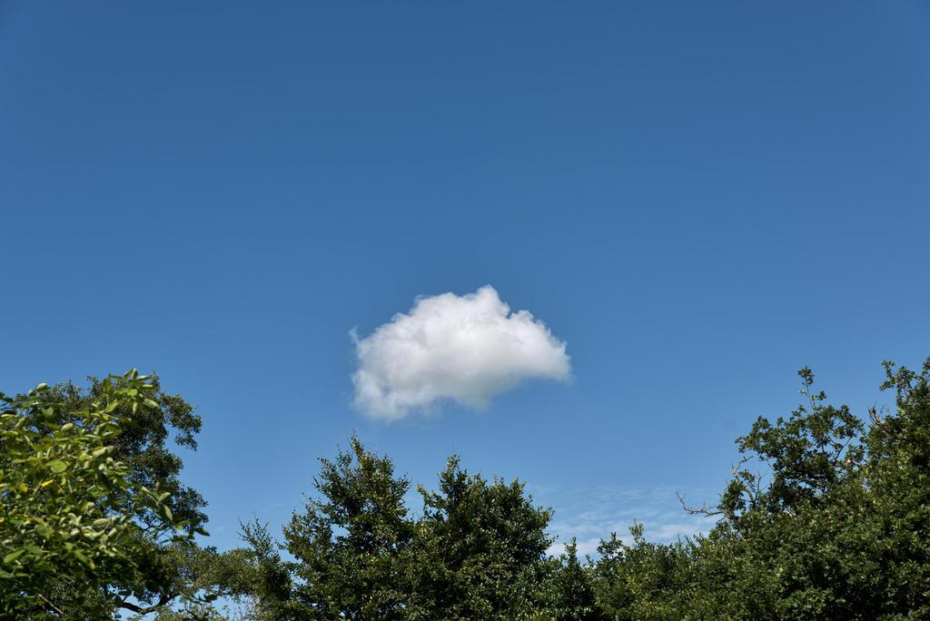 In-The-Air.jpg