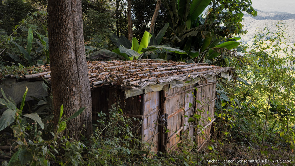 in the woods1-1.jpg