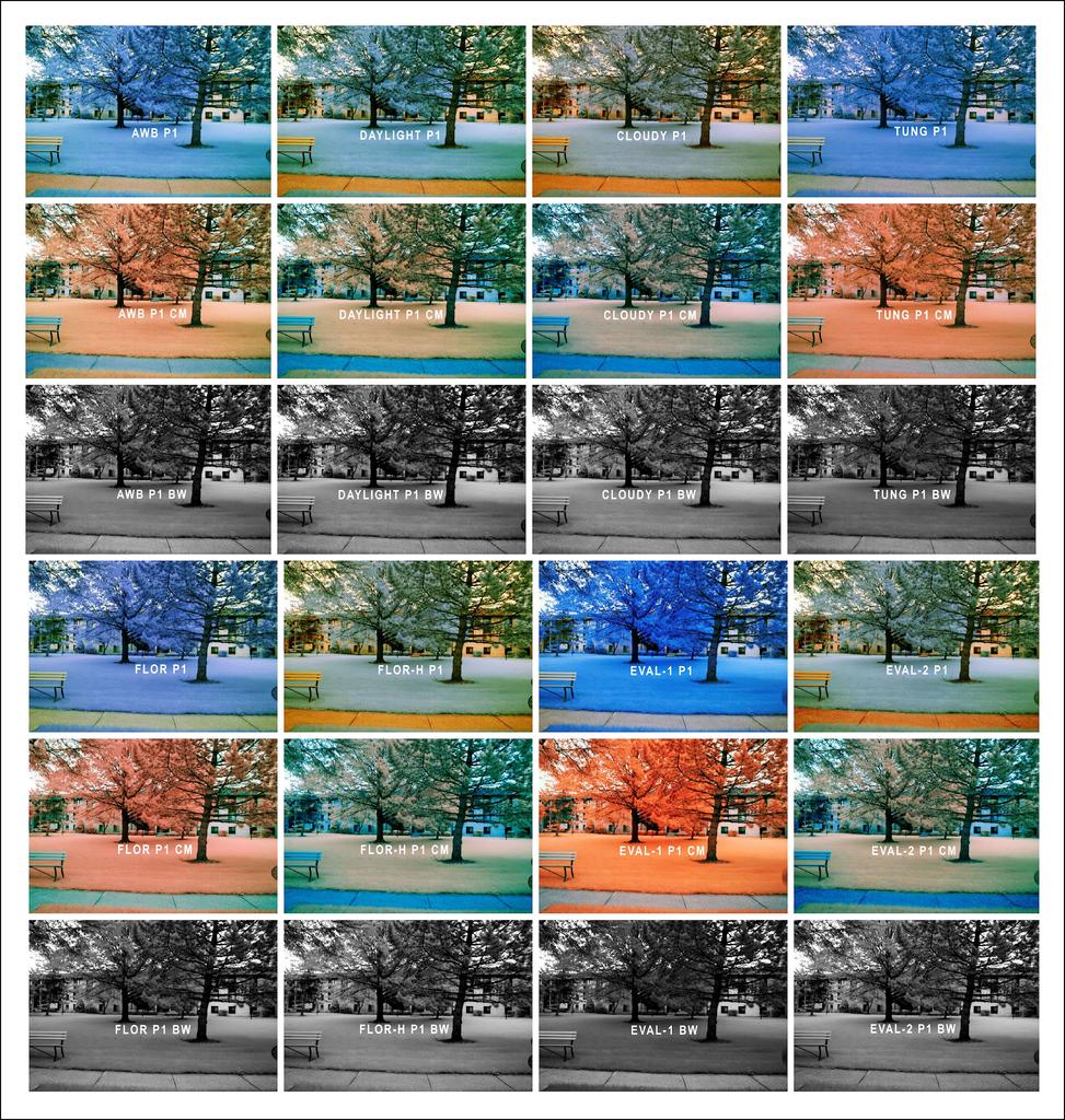 INFRARED WB CHART 2.jpg