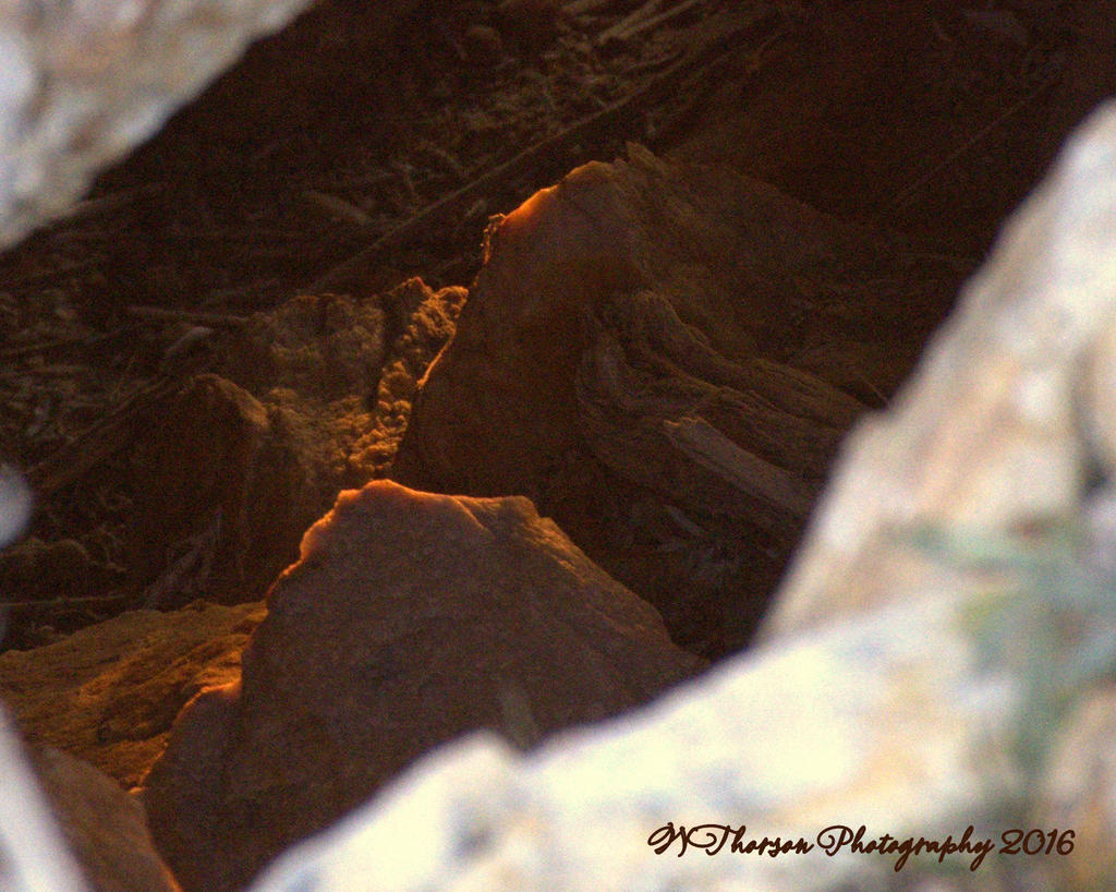 Into the Cave 12-18-2016.jpg