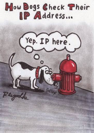 ip.jpg